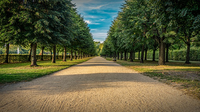 Der Mauerpark Berlin