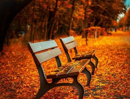 Zwei Parkbänke im Herbst.