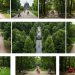 Eine Collage von Berliner Parks.