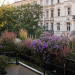 Berliner Balkon mit Blumenkästen voller violetter Astern, rosa Heidekraut und Ziergräsern, Altbaufassade im Hintergrund, spätsommerliches Licht