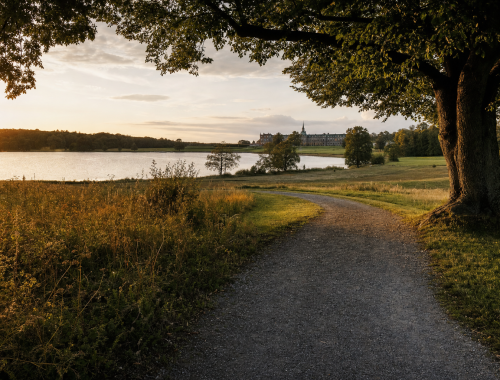 Weite Parklandschaft im Spätsommer mit altem Baumbestand, geschwungenem Weg und Wasserfläche im goldenen Abendlicht, historisches Schloss in der Ferne